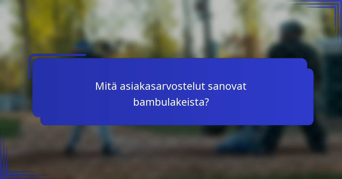Mitä asiakasarvostelut sanovat bambulakeista?